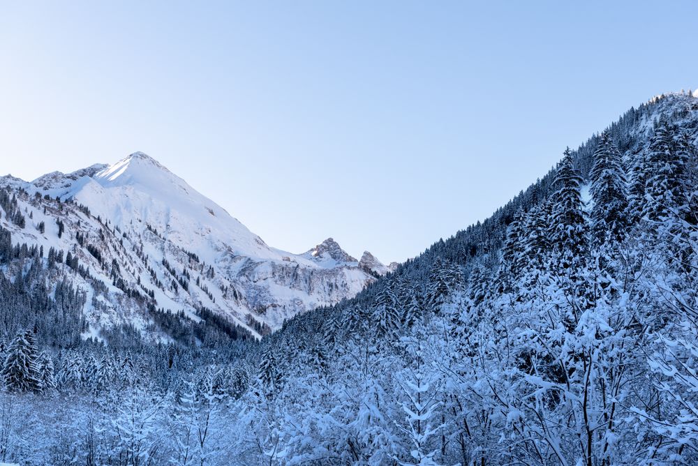 Winter landscape with snow-covered mountains and forest in the Bavarian Alps, Germany