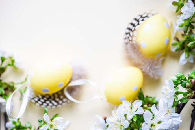 Easter card concept of yellow decorative eggs with feathers and blooming cherry blossoms