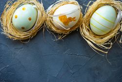 Three pastel decorative eggs in nests with space for text
