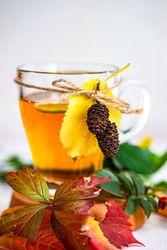 Side view close up of autumnal tea with slice of lemon and colorful leaves