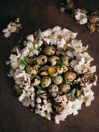Raw quail eggs with flowers on brown table