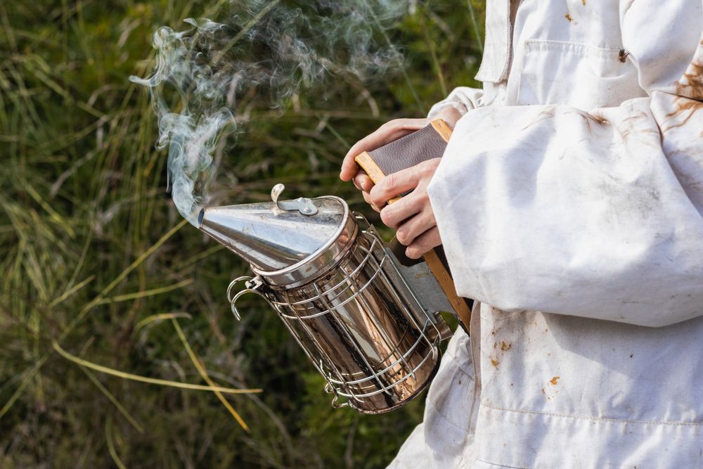 Crop beekeeper with smoker in garden