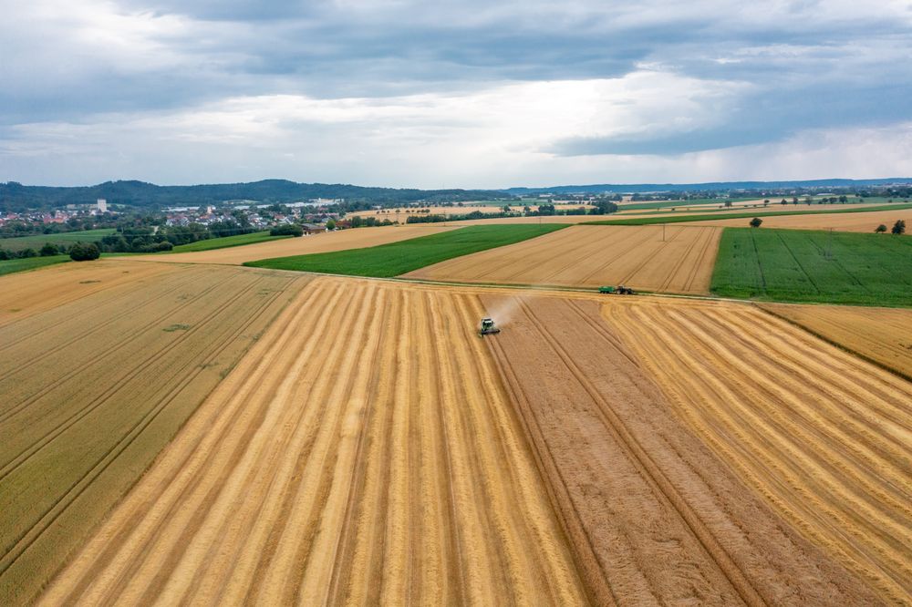 Aerial image with a combine harvesting crop in Germany in the evening