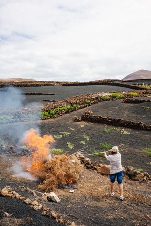 Female farmer burning hay on the volcanic island of Lanzarote