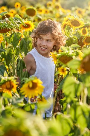 Cute child smiling broadly in sunflower field