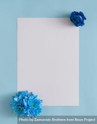 Blue paper background with square, and blue flowers 0VzVN0
