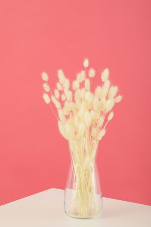 Dried flowers in glass vase on table against pink wall, vertical composition