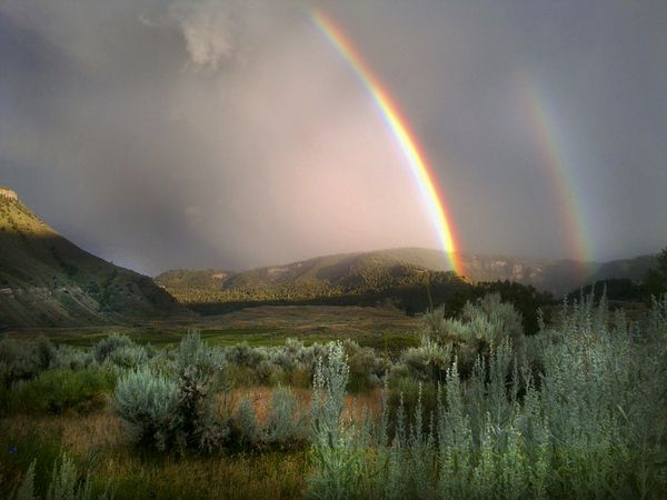 Vibrant double rainbow over valley in Yellowstone National Park