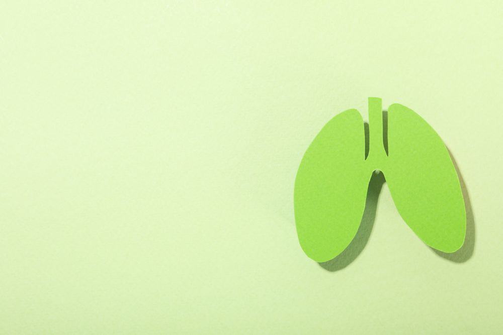 Green lungs on green background with copy space