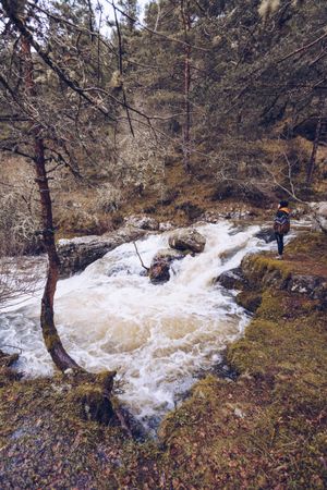 Woman gazing at fast mountain river in forest