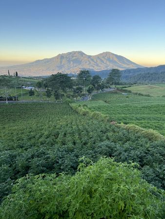 Morning With Mountain Background
