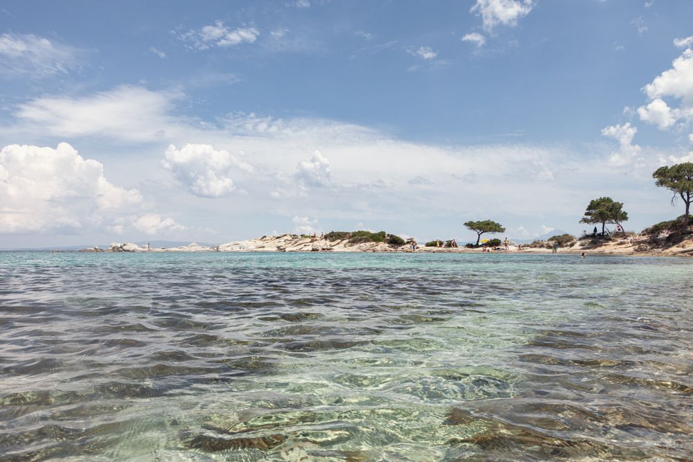Stony island with bright greenery surrounded by water