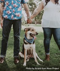 Man and woman holding hands while dog standing between them 4AA1R4