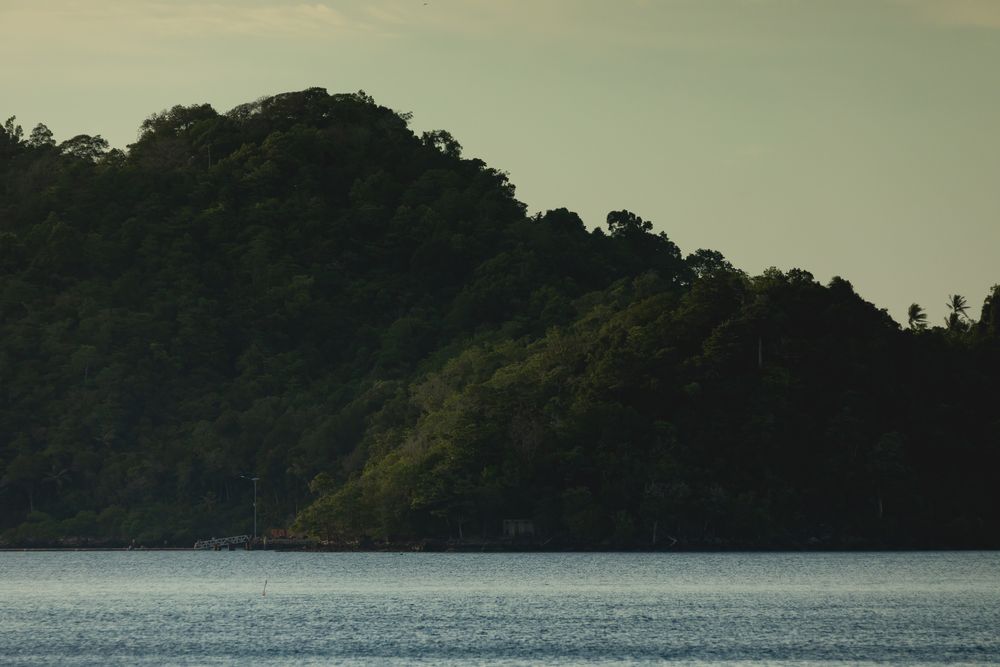 Jungle at sunset, Pulau Seulako Island from Iboih Beach, Pulau We Island, Aceh, Sumatra, Indonesia
