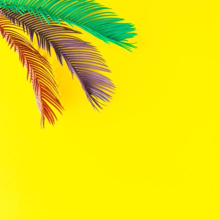 Painted tropical and palm leaves in vibrant bold colors on yellow background