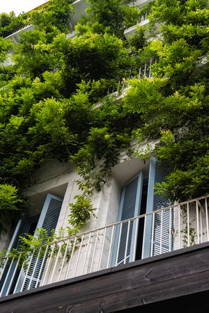 Architecture of old Batumi city
