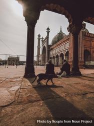 Silhouette of cat walking beside worshipers in The Masjid-i Jehan-Numa in Delhi, India 56dQxb