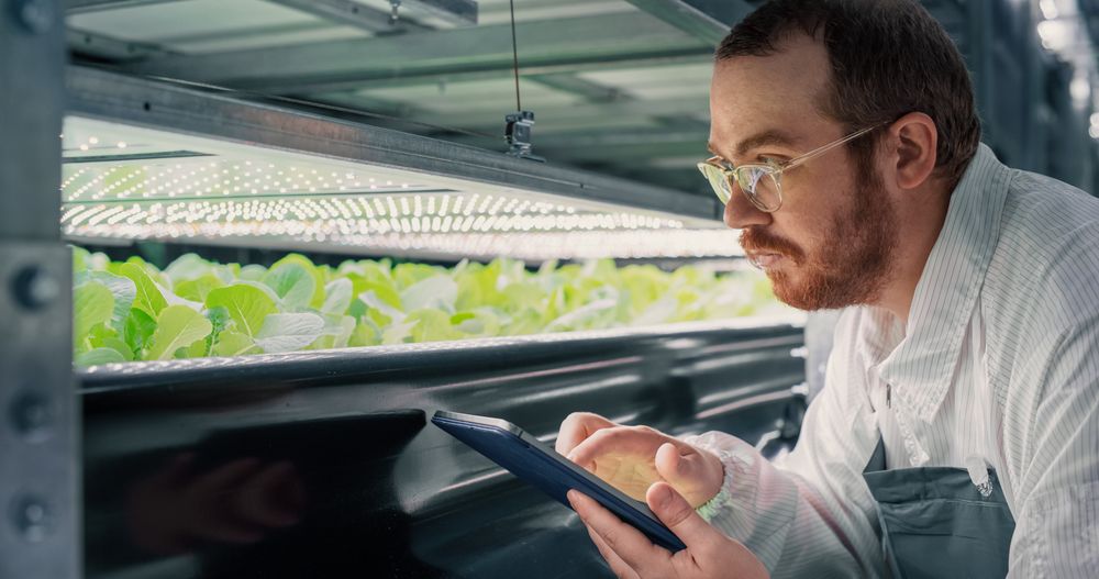 Adult Biology Scientist Closely Inspecting and Analyzing Young Growing Crops. Farming Engineer Using Tablet Computer and Working in a Modern Vertical Farm Next to Rack with Natural Eco Plants