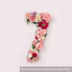 Number 7 made of real natural flowers and leaves 0VKAX5