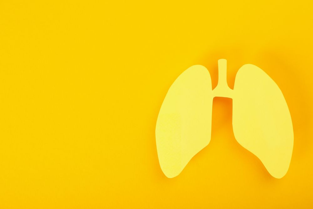 Yellow background with lungs, and copy space