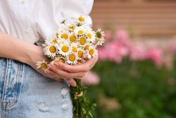 Woman with a bouquet of chrysanthemums. Background flowers
