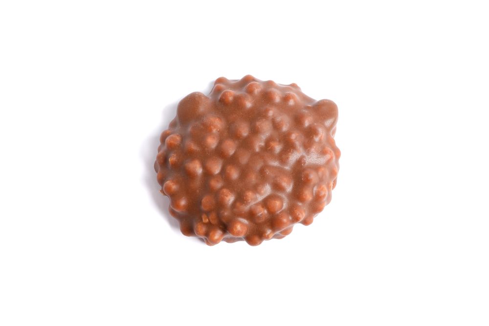 Chocolate cookie with caramel filling isolated on plain background