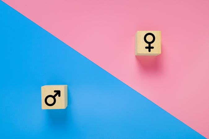 male and female symbols on wooden blocks isolated on pink and blue background. gender equality concept