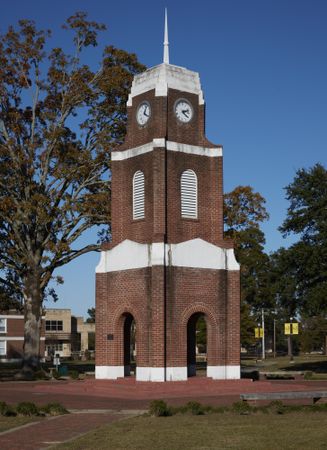 Pine Bluff University of Arkansas