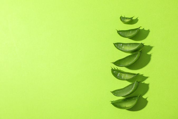Aloe vera slices on color background, space for text. Natural treatment