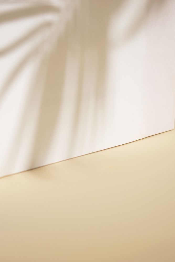 Beige wall with tropical palm tree shadow