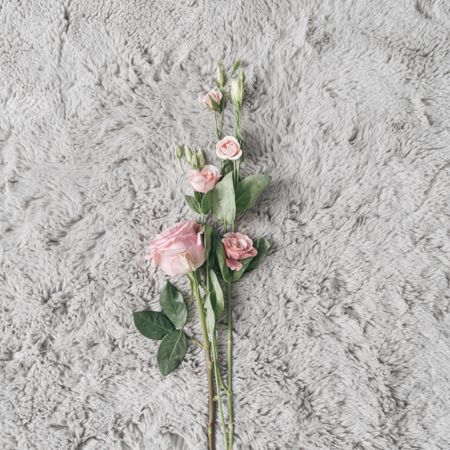 Flowers on grey carpet