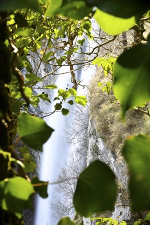 Autumn tree and waterfall