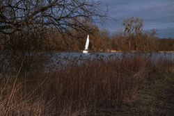 Bright sailboat on lake on overcast day