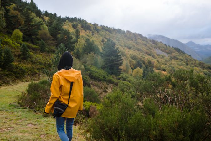 Person in yellow raincoat walking in forest