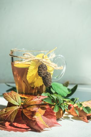 Side view of autumnal tea with lemon and decorative pine cones and leaves