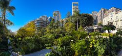 The exotic garden of the casino, Monaco