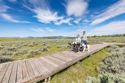 Man woman and dog exploring the Northern Range boardwalk