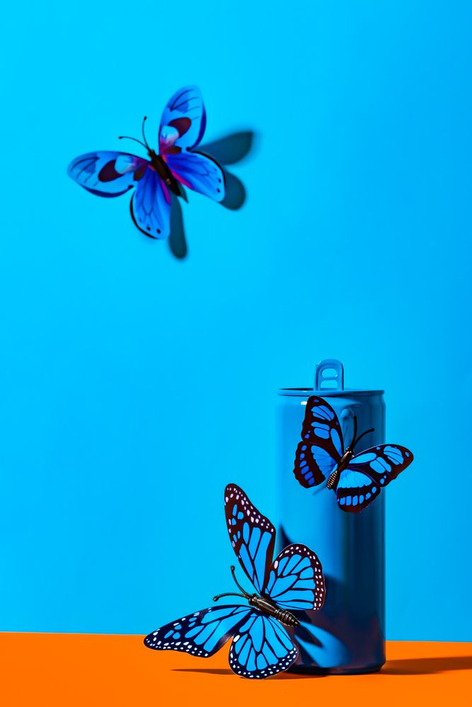 Plastic butterflies on metal blue can