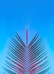 Palm leaf lit in bold neon  colors, on gradient blue to pink background