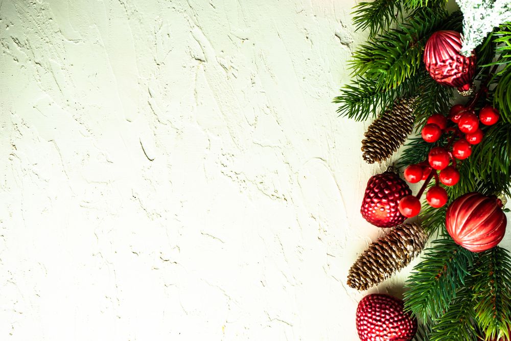 Wintry pine branch and holly berries on right side of horizontal frame