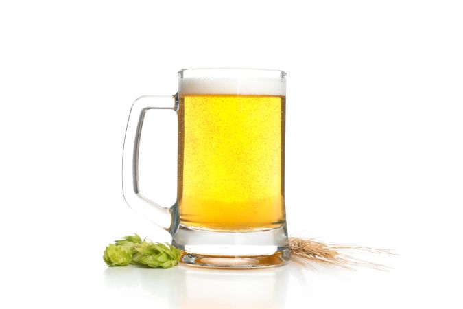 Beer glass, hop and spikelets isolated on studio background