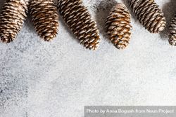 Christmas scene of pine tree cones on concrete background 4Oko74