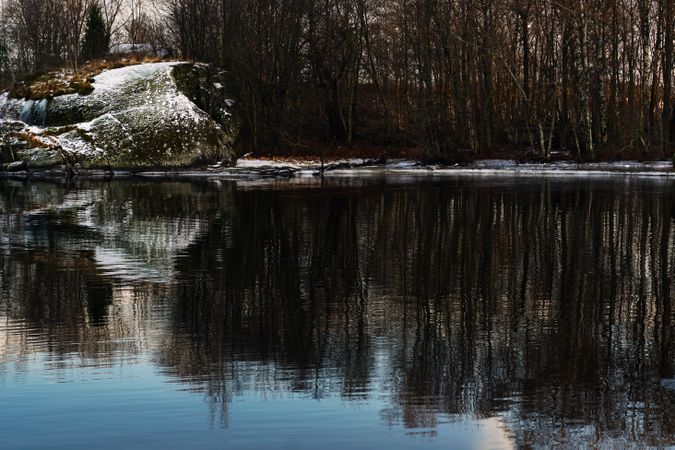 Frosted bank of river with bare trees