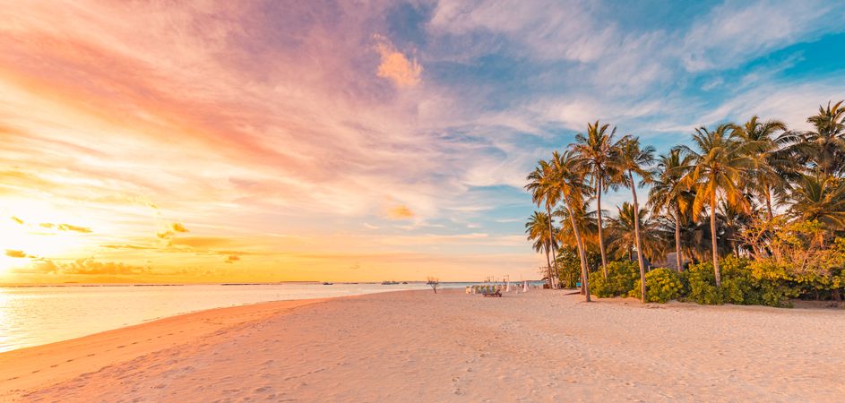 Banner of beach at sunset set with jungle and chairs