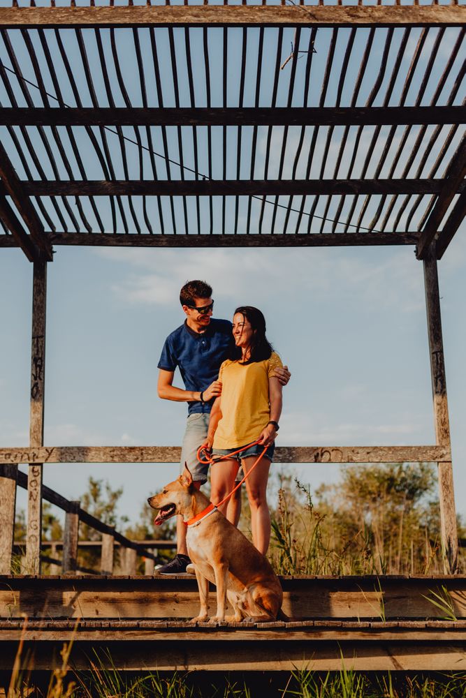 Casual adult couple walking with dog at countryside