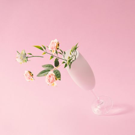Champagne glass with spring flowers against pink background