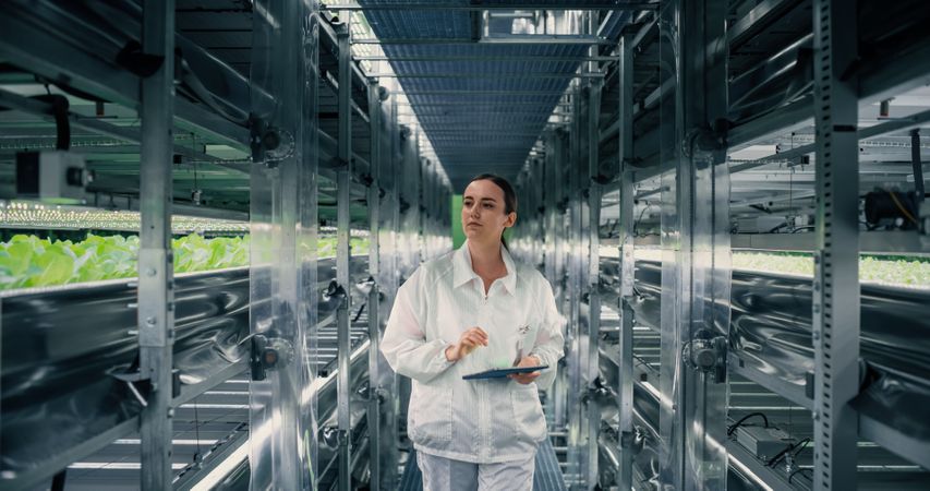 Female Farming Technician Walking Between Rows of Produce at Modern Vertical Farm. Young Horticulturist in Protective Uniform Using Tablet Computer to Organize and Analyze Plant Information.