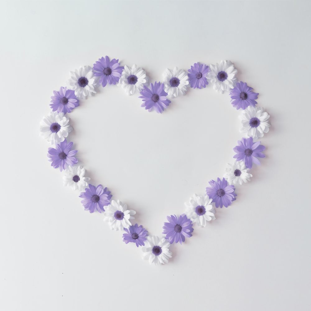 Heart shape made of daisies