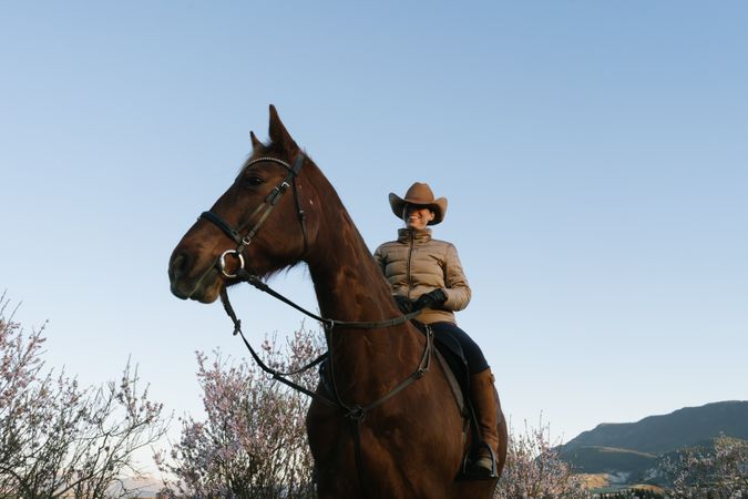 Woman on horse in field