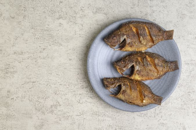 fried tilapia fish